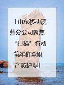 山东移动滨州分公司聚焦“打猫”行动 筑牢群众财产防护堤