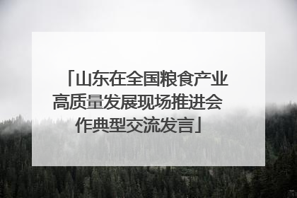 山东在全国粮食产业高质量发展现场推进会作典型交流发言