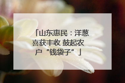 山东惠民：洋葱喜获丰收 鼓起农户“钱袋子”