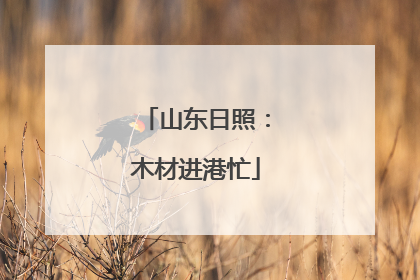山东日照：木材进港忙