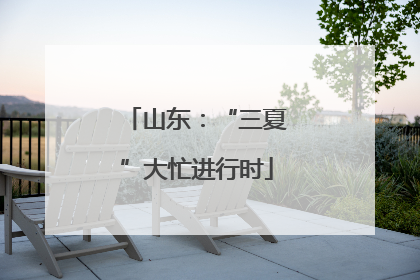 山东：“三夏”大忙进行时
