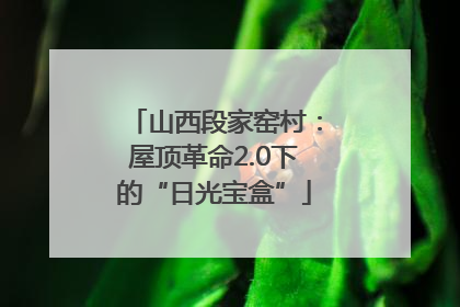 山西段家窑村：屋顶革命2.0下的“日光宝盒”