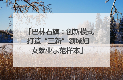 巴林右旗：创新模式 打造“三新”领域妇女就业示范样本