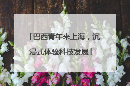 巴西青年来上海，沉浸式体验科技发展