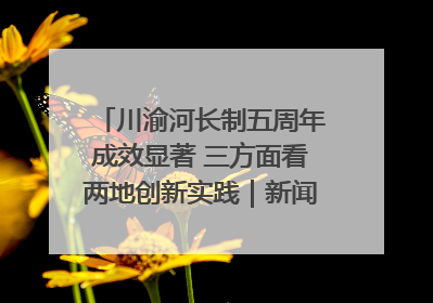川渝河长制五周年成效显著 三方面看两地创新实践｜新闻发布最前线