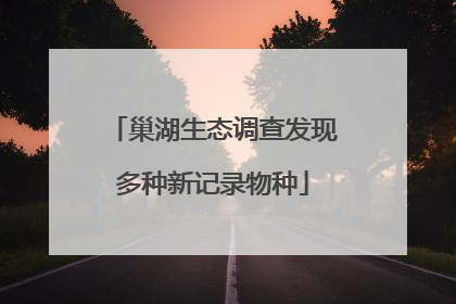巢湖生态调查发现多种新记录物种
