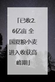 已收2.6亿亩 全国夏粮小麦进入收获高峰期