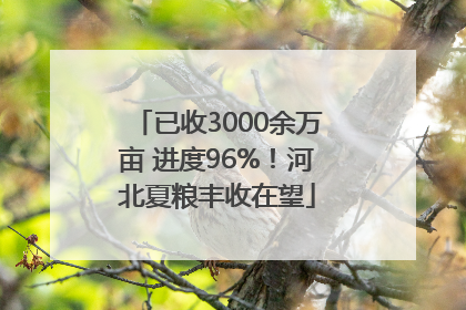 已收3000余万亩 进度96%！河北夏粮丰收在望