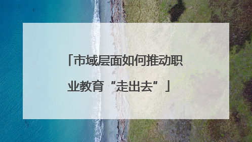 市域层面如何推动职业教育“走出去”