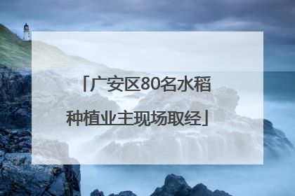 广安区80名水稻种植业主现场取经