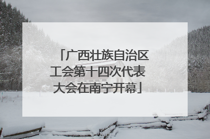 广西壮族自治区工会第十四次代表大会在南宁开幕