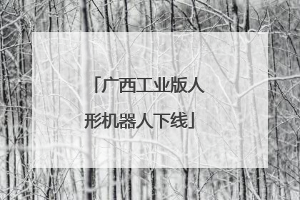 广西工业版人形机器人下线