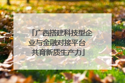 广西搭建科技型企业与金融对接平台 共育新质生产力