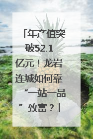 年产值突破52.1亿元！龙岩连城如何靠“一站一品”致富？
