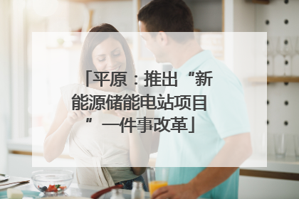 平原：推出“新能源储能电站项目”一件事改革