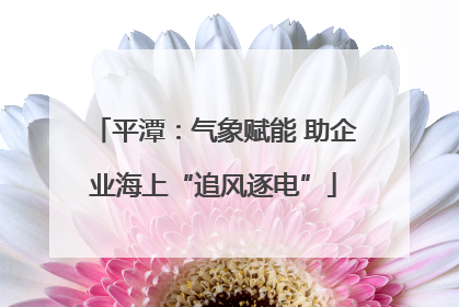 平潭：气象赋能 助企业海上“追风逐电”