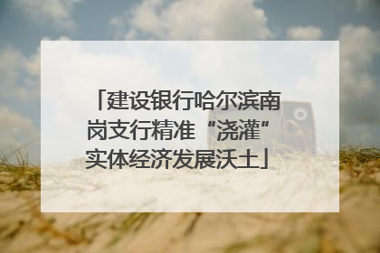 建设银行哈尔滨南岗支行精准“浇灌”实体经济发展沃土