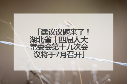 建议议题来了！湖北省十四届人大常委会第十九次会议将于7月召开