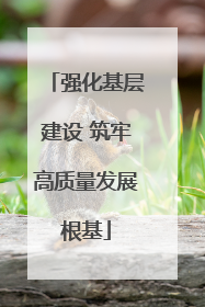 强化基层建设 筑牢高质量发展根基