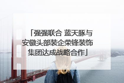 强强联合 蓝天豚与安徽头部装企荣锋装饰集团达成战略合作