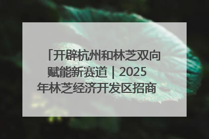 开辟杭州和林芝双向赋能新赛道｜2025年林芝经济开发区招商引资（杭州）推介展销活动在杭举办