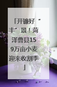 开镰好“丰”景！菏泽曹县159万亩小麦迎来收割季