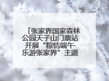 张家界国家森林公园天子山门票站开展“粽情端午·乐游张家界”主题宠客活动