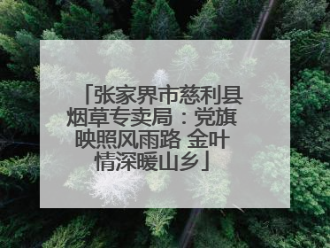 张家界市慈利县烟草专卖局：党旗映照风雨路 金叶情深暖山乡