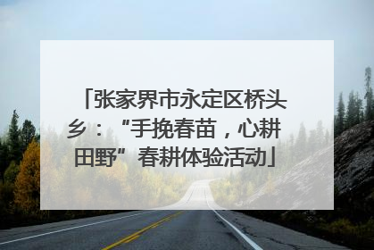 张家界市永定区桥头乡：“手挽春苗，心耕田野”春耕体验活动