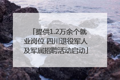 提供1.2万余个就业岗位 四川退役军人及军属招聘活动启动