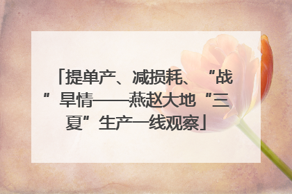 提单产、减损耗、“战”旱情——燕赵大地“三夏”生产一线观察