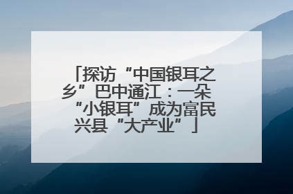 探访“中国银耳之乡”巴中通江：一朵“小银耳”成为富民兴县“大产业”