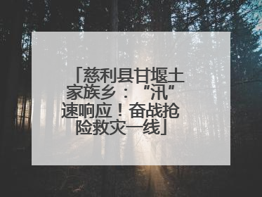 慈利县甘堰土家族乡：“汛”速响应！奋战抢险救灾一线