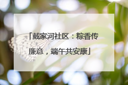 戴家河社区：粽香传廉意，端午共安康