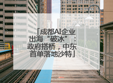 成都AI企业出海“破冰”：政府搭桥，中东首单落地沙特