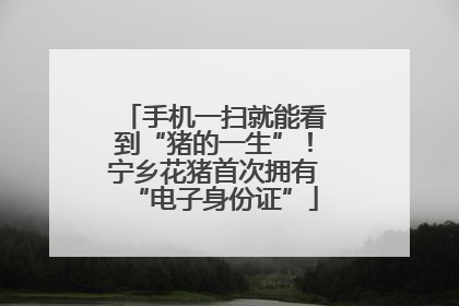 手机一扫就能看到“猪的一生”！宁乡花猪首次拥有“电子身份证”