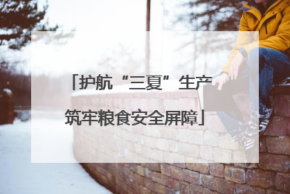 护航“三夏”生产 筑牢粮食安全屏障