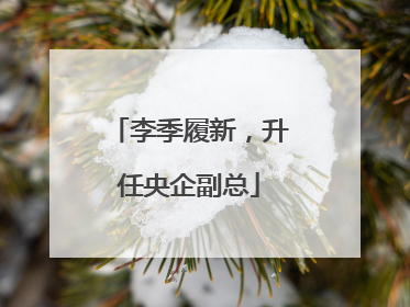 李季履新，升任央企副总