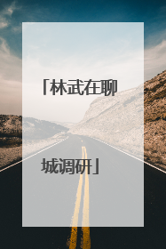林武在聊城调研