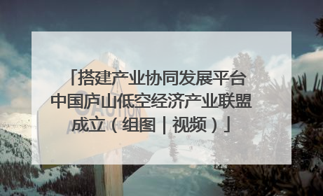 搭建产业协同发展平台 中国庐山低空经济产业联盟成立（组图｜视频）
