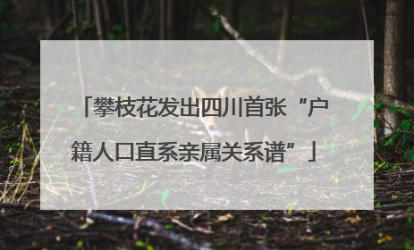 攀枝花发出四川首张“户籍人口直系亲属关系谱”