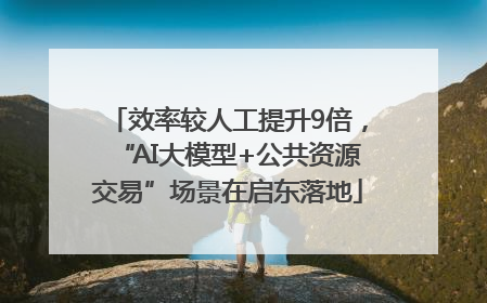 效率较人工提升9倍，“AI大模型+公共资源交易”场景在启东落地