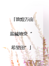敦煌万亩盐碱地变“希望田”