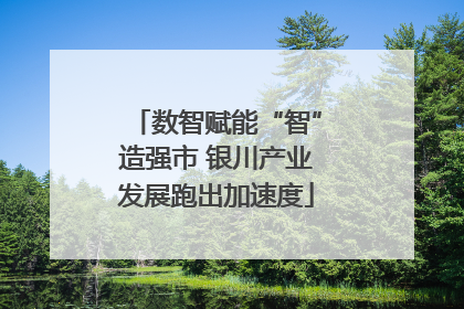 数智赋能“智”造强市 银川产业发展跑出加速度