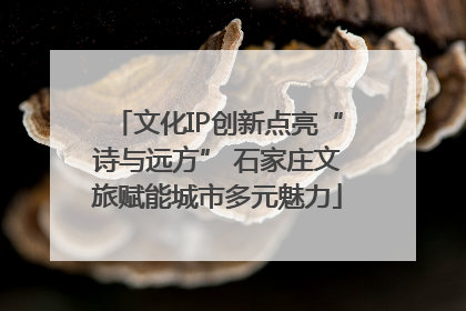 文化IP创新点亮“诗与远方” 石家庄文旅赋能城市多元魅力