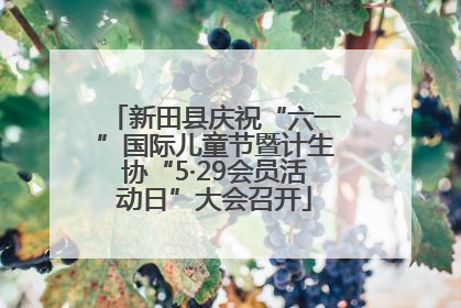 新田县庆祝“六一”国际儿童节暨计生协“5·29会员活动日”大会召开