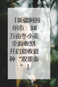 新疆阿拉尔市：38万亩冬小麦全面收割 开启夏收夏种“双重奏”