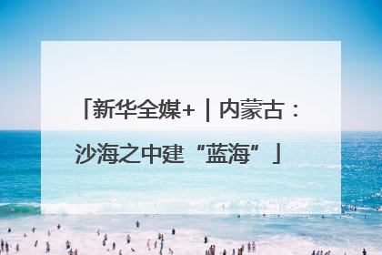 新华全媒+｜内蒙古：沙海之中建“蓝海”