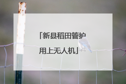 新县稻田管护用上无人机