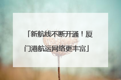 新航线不断开通！厦门港航运网络更丰富